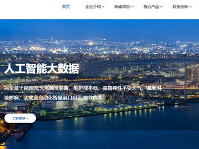 藍(lán)色寬屏人工智能網(wǎng)站建設(shè)-案例