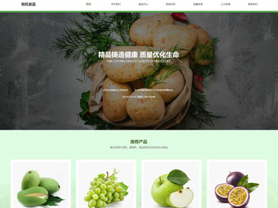 有機(jī)食品集團(tuán)有限公司網(wǎng)站設(shè)計(jì)-案例